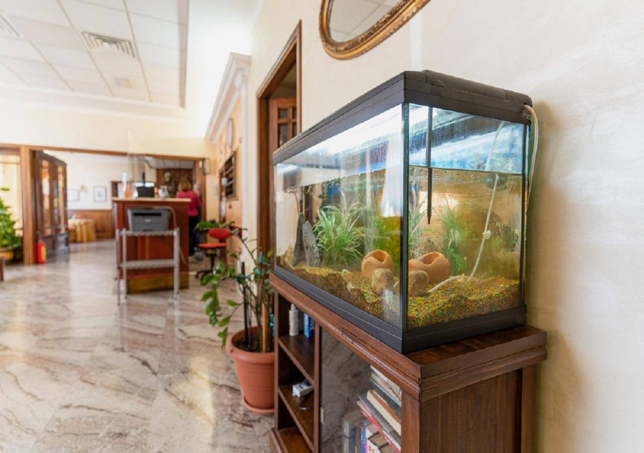 Hotel Villa Delle Rose Ористано Екстер'єр фото